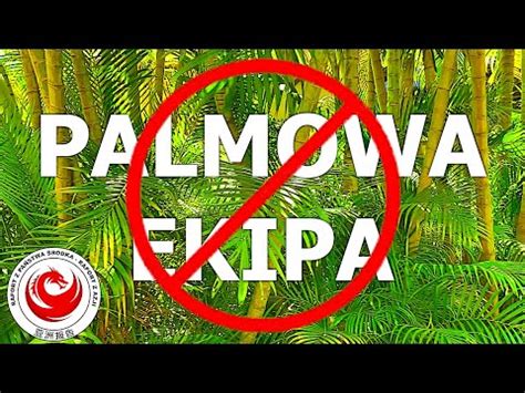 Upadek Palmowej Ekipy Szukamy Winnych Youtube