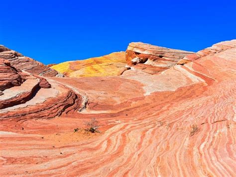 Top 5 Amazing Things To Do In Valley Of Fire State Park Easy Day Trip