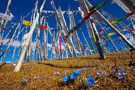 Escaping Thimphu Where To Go To Find Bhutans Hidden Treasures