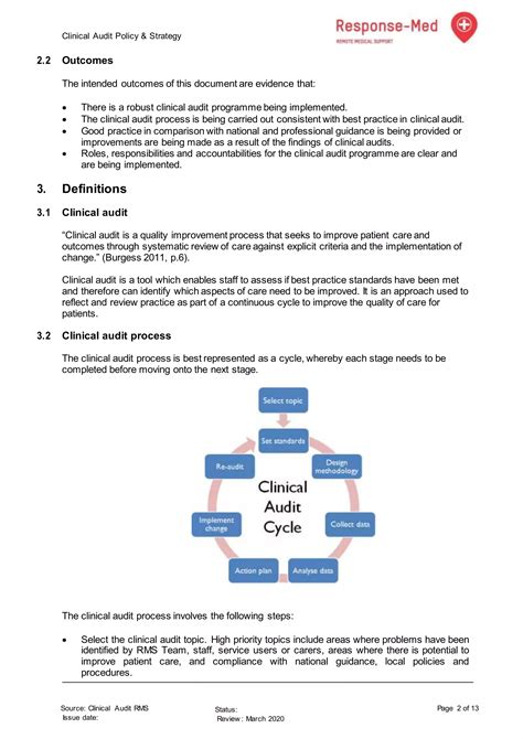 Blank Clinical Audit Report Template Pdf