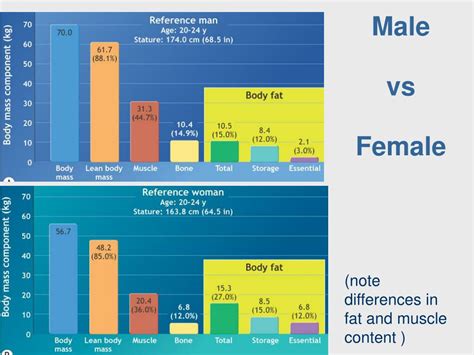 Ppt Body Composition Powerpoint Presentation Free Download Id719845