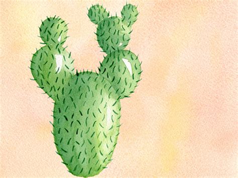 Tutorial: How to Paint a Watercolour Cactus - Emily Wassell