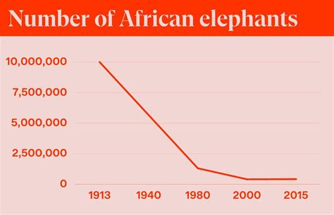 African Elephant Population Graph