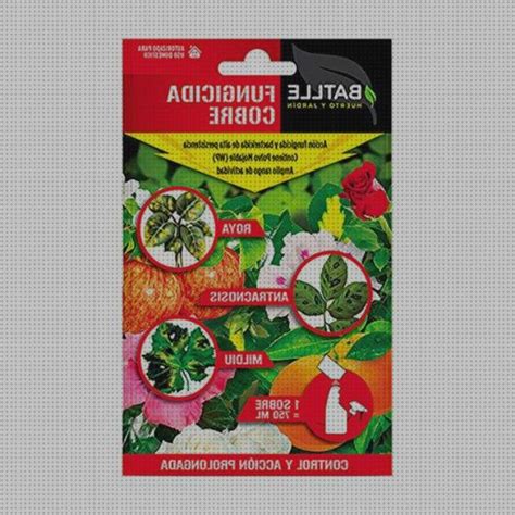 ᐉ 25 Mejores INSECTICIDA FUNGICIDA ACARICIDA mes 2024 Review