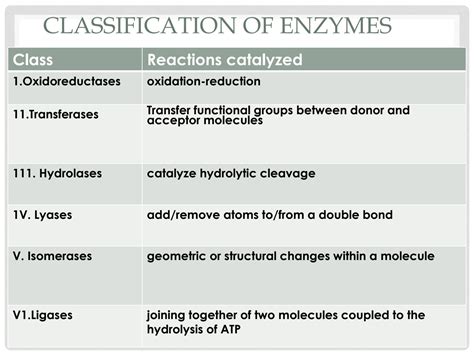 Solution Classification Of Enzymes Studypool