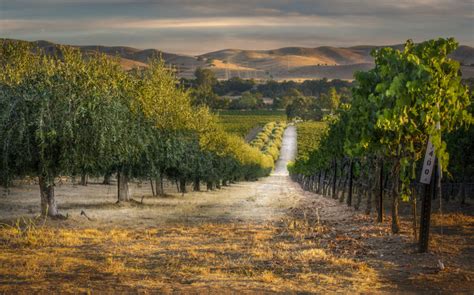 A Perfect Weekend In Livermore Valley Wine Country Kqed