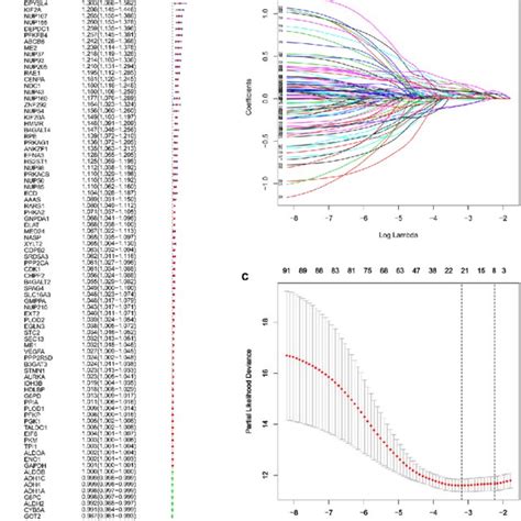 Identification Of Genetic Signatures For Hcc Prognostic Models A