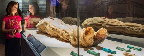 The Science of Mummies - MedSci Communications