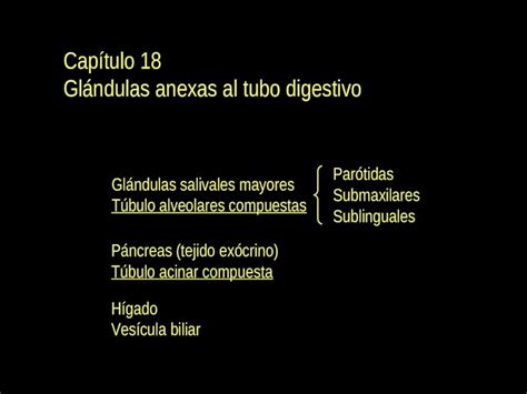 PPT Capítulo 18 Glándulas anexas al tubo digestivo DOKUMEN TIPS