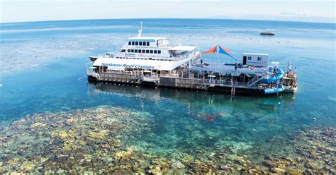 Fitzroy Island And Moore Reef Full Day Great Barrier Reef Cruise From