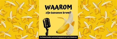 Waarom Zijn De Bananen Krom Kinderpodcasts Nl