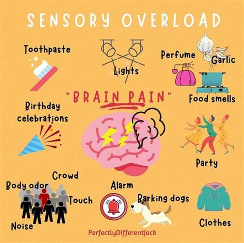 Sensory Stimuli 5 Examples Goally