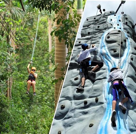 Rainforest Zipline Tour And Rock Climbing Rainforest Zipline