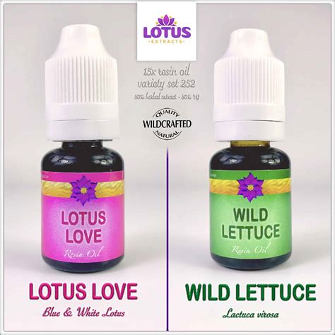 Wild Lettuce Archives Lotus Extracts