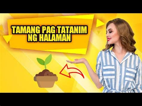 Paano Magtanim Ng Halaman Mga Hakbang Para Sa Beginners Youtube