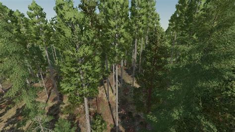 Silver Run Save Game More Trees Added Forbidden Mods Einfach