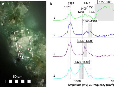 Novel Optical Photothermal Infrared O Ptir Spectroscopy For The