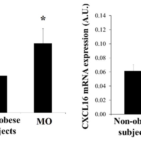 A Levels Of Mrna Expression Of Hif 1α Tnfα And Il6 In Human Visceral