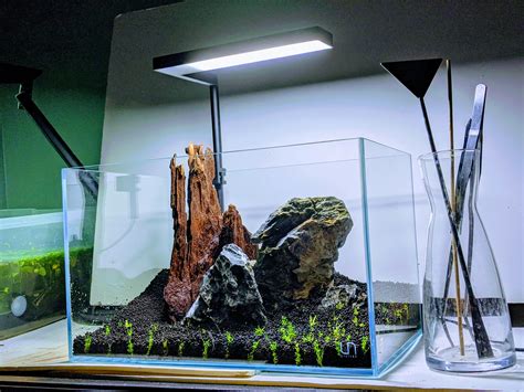 Got a buddy into planted tanks/aquascaping and helped him set up his first. : r/PlantedTank