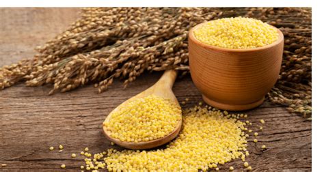 Ancient Chinese Millet