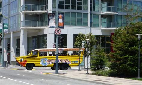 Ride The Ducks Is The Best Way To Tour San Francisco Duck Tour San