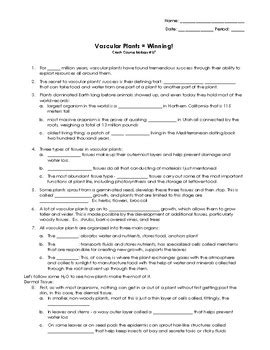 CrashCourse Biology 37 Vascular Plants By Science Classy TPT