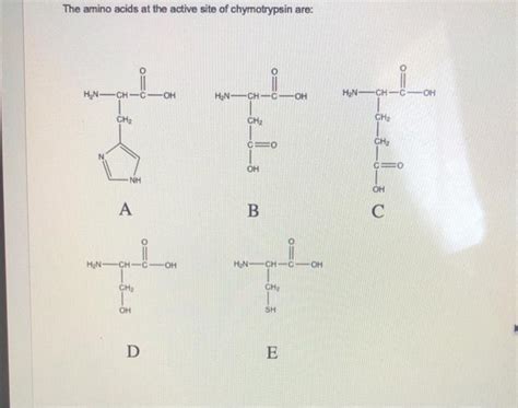 Solved The Amino Acids At The Active Site Of Chymotrypsin