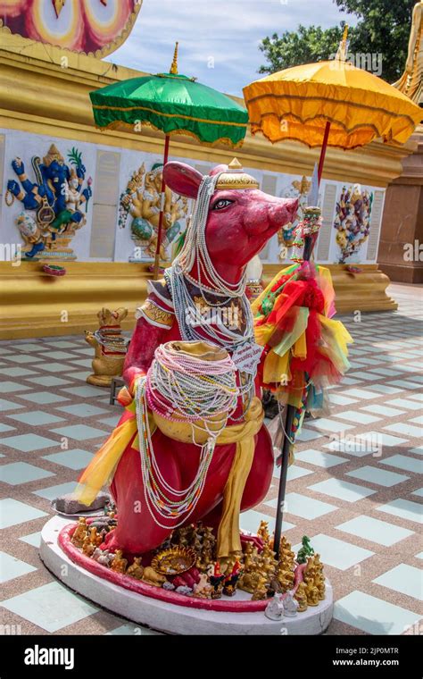 Chachoengsao Thailand 9th Jun 2022 The Status Of Ganesha Vehicle Vahana Mooshak In Wat Saman