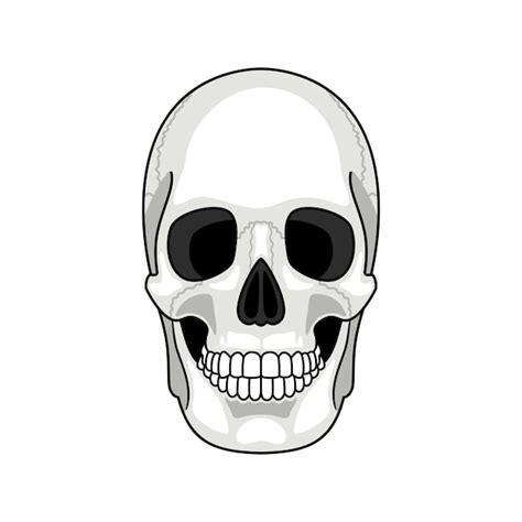 Scary Skeleton Head Cartoon