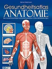 Gesundheitsatlas Anatomie Der Menschliche K Rper U Buch Zustand