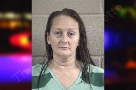 Shannon Lewis Whitfield County Jail Bookings