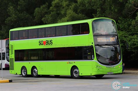 SBS Transit Bus Service 247 | Land Transport Guru