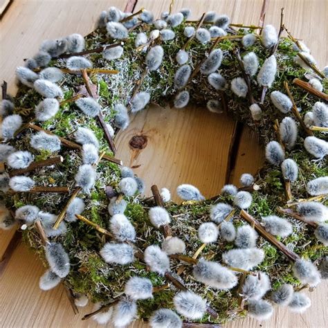 Pussy Willow Branch Etsy