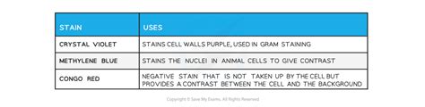 显微镜在细胞研究111 Cie A级生物学复习笔记2022 保存我的考试