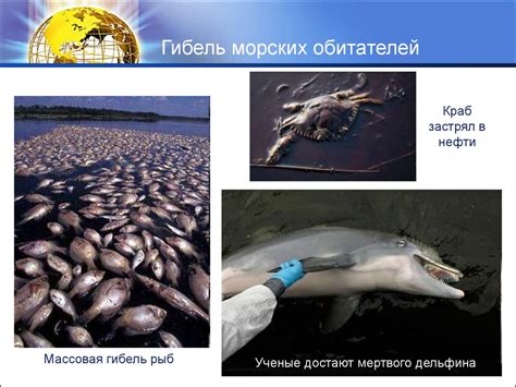 Экология нефти - презентация онлайн