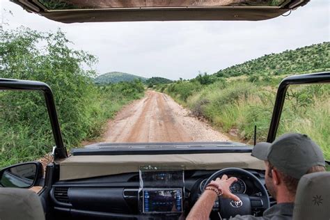 Pilanesberg National Park Open X Safari Game Drive