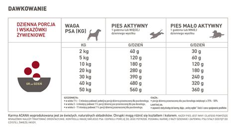 Ile to jest 1 godzina dla psa Fundacja dla kociąt osieroconych Cali