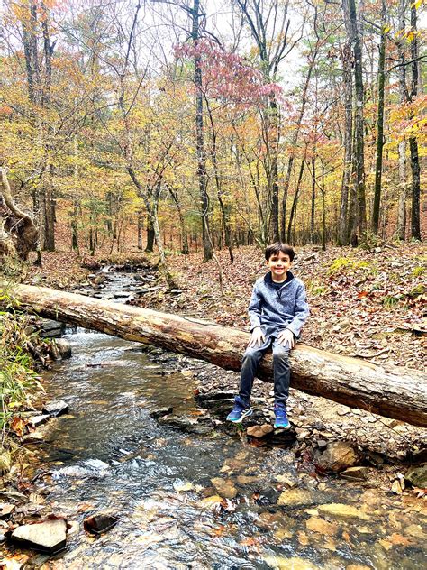 Everything You Need To Know About Friends Trail Loop Broken Bow Hiking