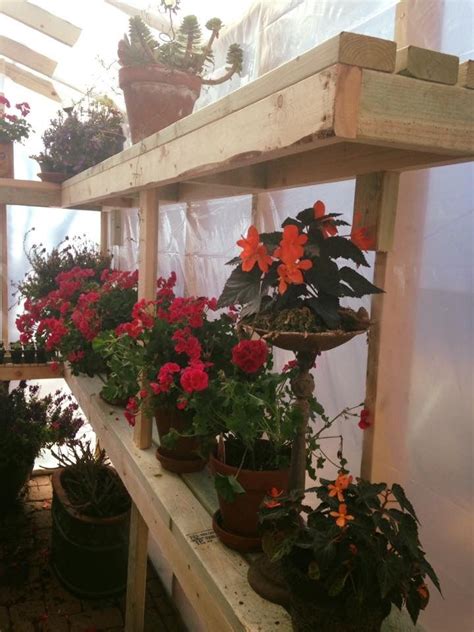 Pin by Garden Dabble on "Temporary" Greenhouse | Holiday decor ...