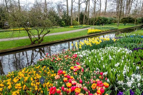 Tips for Visiting Keukenhof Gardens and the Tulip Fields in the Netherlands