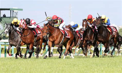 【毎日ベスト3】高速決着なら任せろ！中京記念登録馬の芝マイル持ち時計ベスト3 毎日ベスト3 競馬コラム 日刊スポーツ