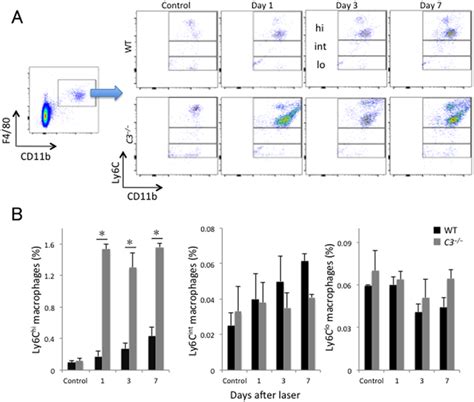 Change In The Percentage Of Macrophage Monocyte Subsets Circulating In