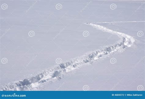 Tracks on snow. stock photo. Image of outdoor, lonely - 4684372