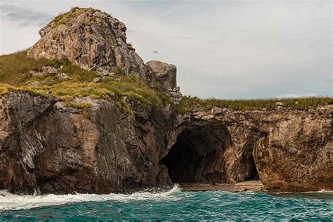 Islas Marietas Snorkeling Tour - Best of Bucerias