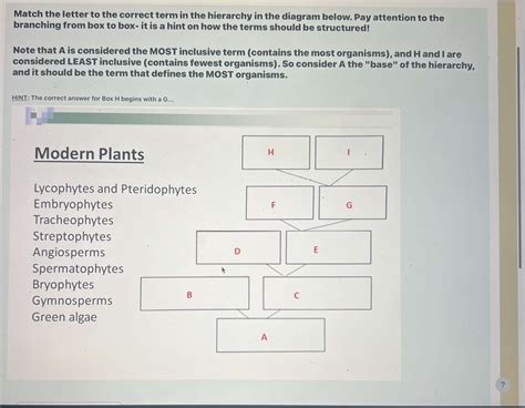 Solved Match The Letter To The Correct Term In The Hierarchy Chegg