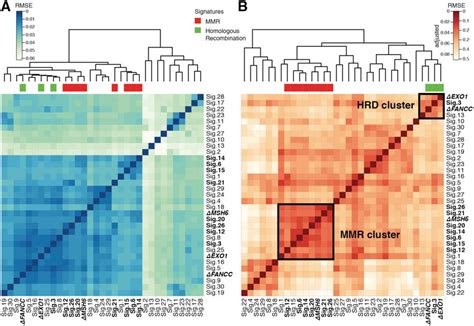 Clustering Of Mutational Signatures From Cosmic Version 2 And Three