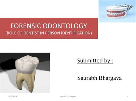 Forensic Odontology Dentistry