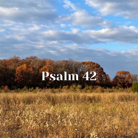 Psalm 42 — Do You Feel Cast Down — Reading The Psalms Psalms For Kids©