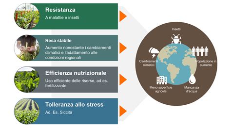 Obiettivi Del Miglioramento Genetico Innovazione Kws Saat Se Co Kgaa