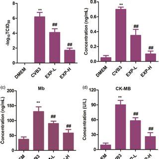 Effect Of Lupeol On The Expression Of Toll Like Receptor Tlr